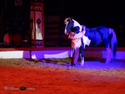 Circus YAKARI Show am 04.10.2024